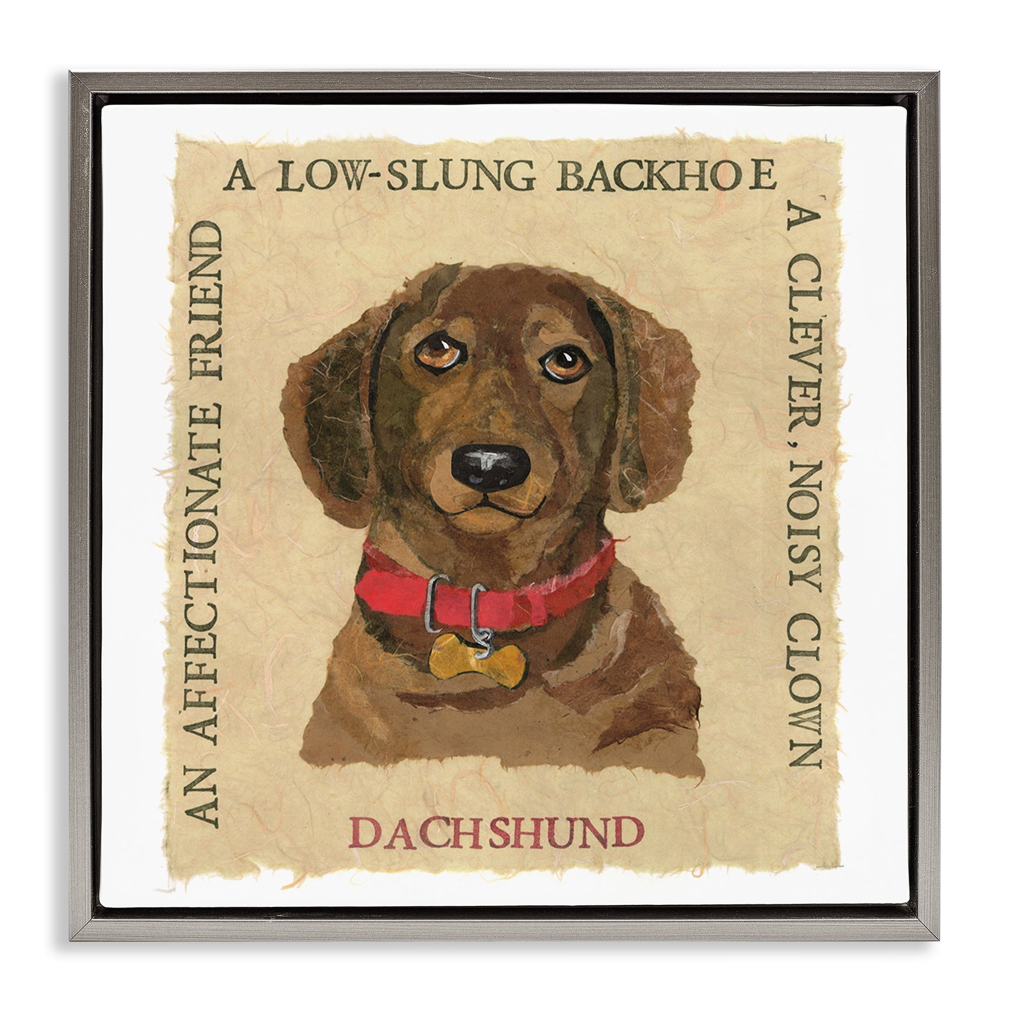 Stupell Industries Fun Dachshund Pet Phrases Animals Painting Gray Floater Framed Canvas Art Print Wall Art, 18 x 18