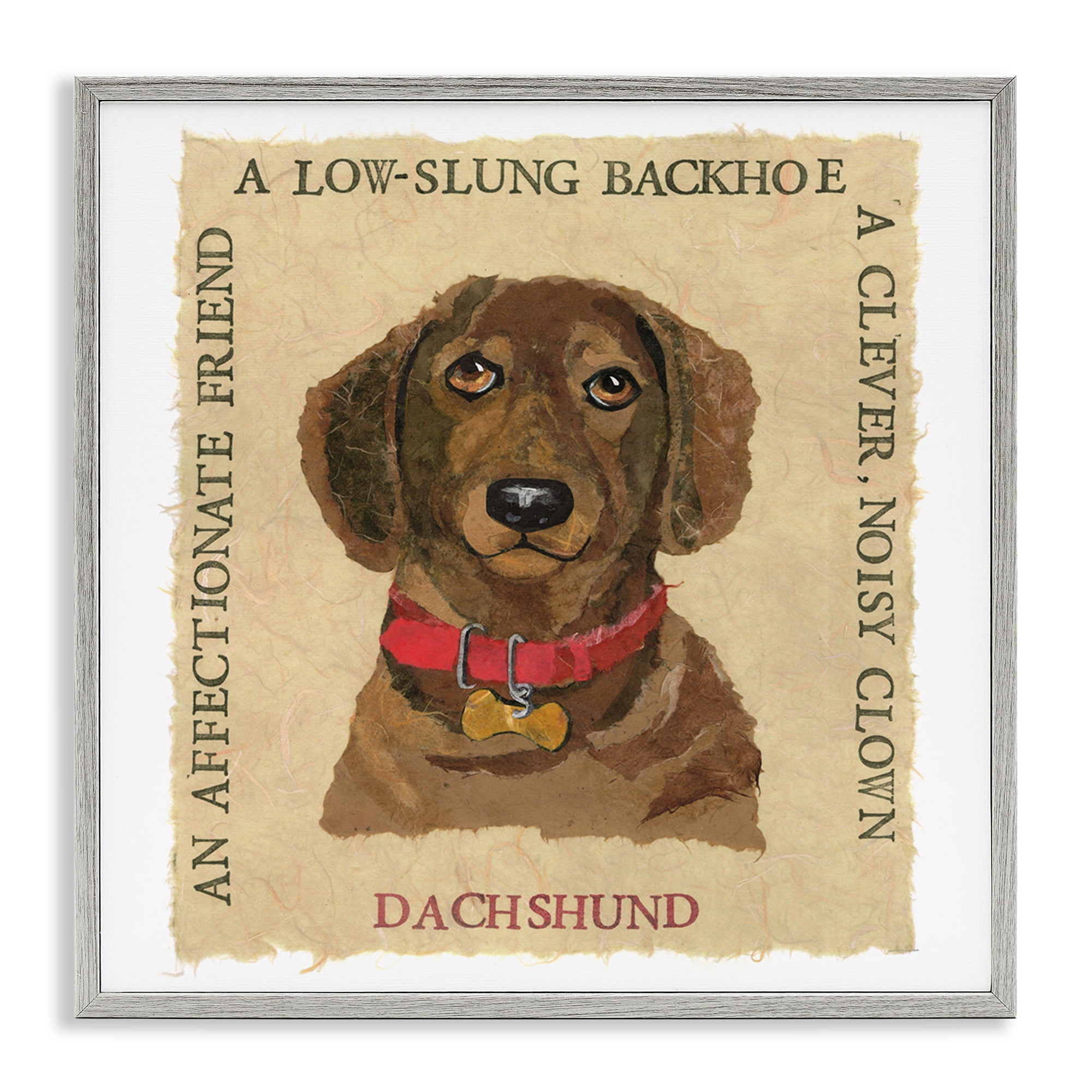 Stupell Industries Fun Dachshund Pet Phrases Animals Painting Gray Framed Art Print Wall Art, 12 x 12