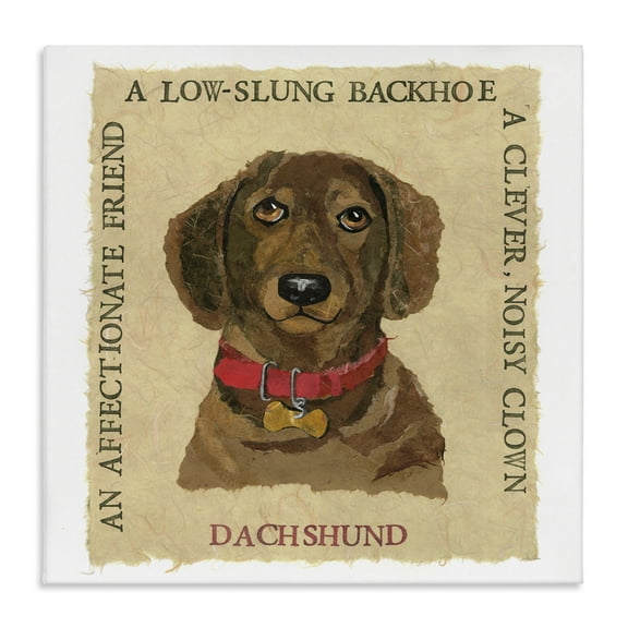 Stupell Industries Fun Dachshund Pet Phrases Animals Painting Wrapped Canvas Art Print Wall Art, 17 x 17