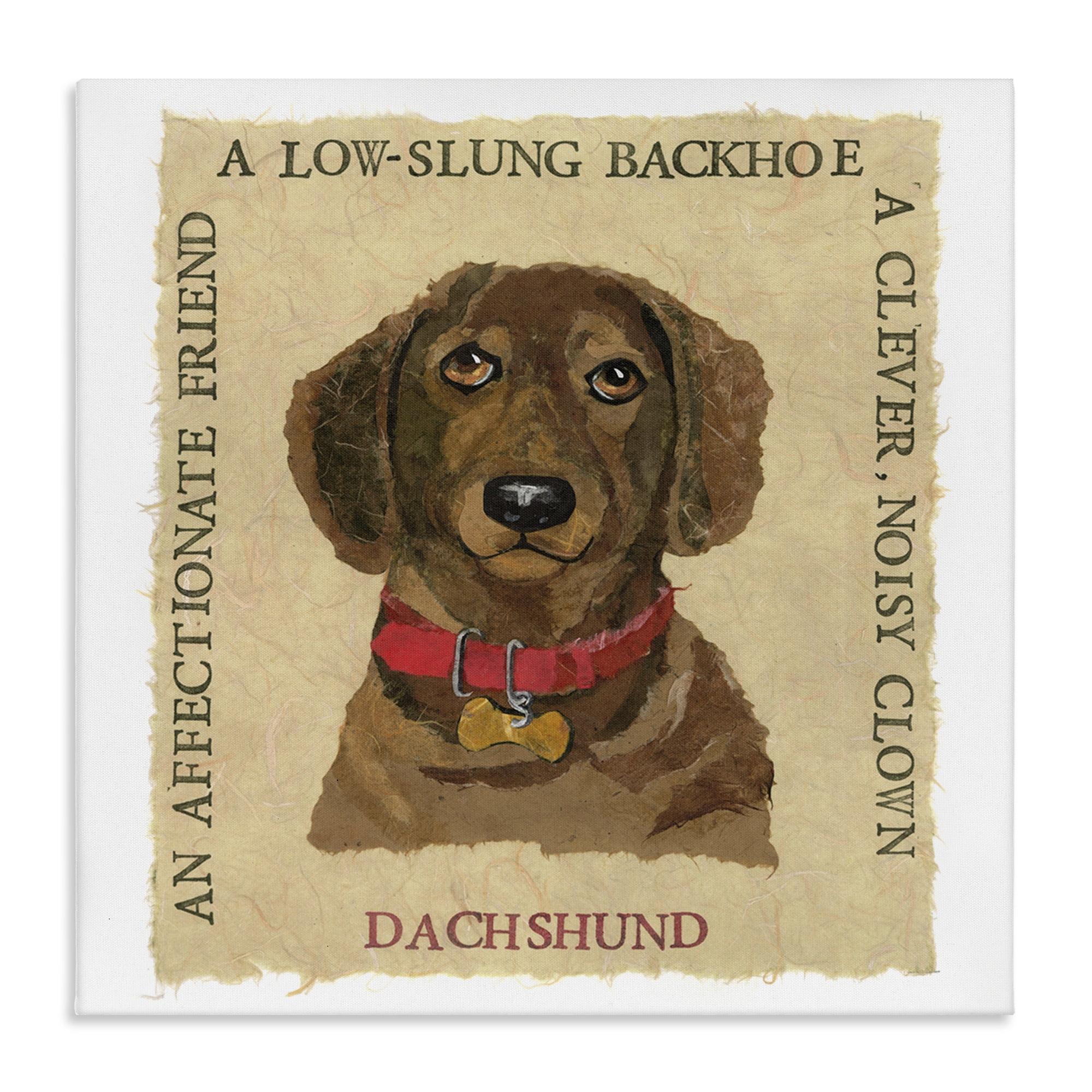 Stupell Industries Fun Dachshund Pet Phrases Animals Painting Wrapped Canvas Art Print Wall Art, 36 x 36