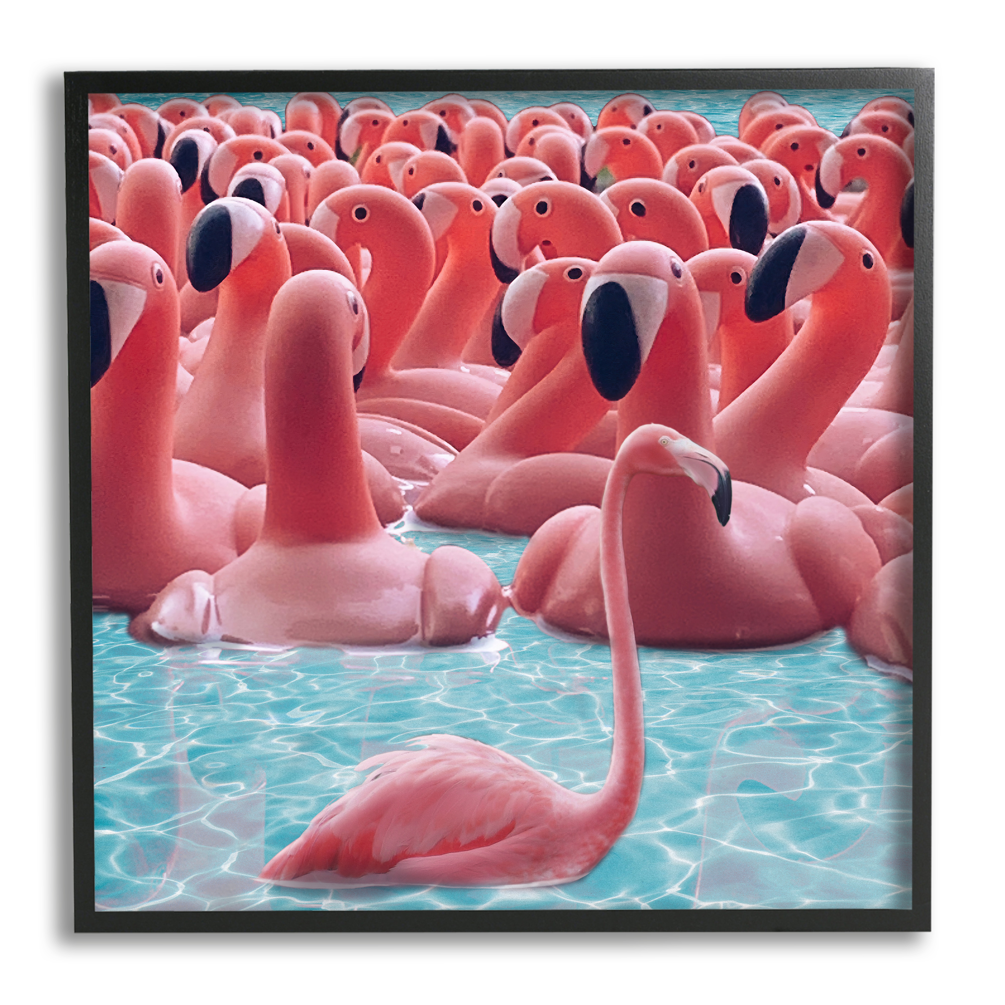 Stupell Industries Fun Flamingo Pool Toys Animals & Insects Painting Black Framed Art Print Wall Art, 24 x 24