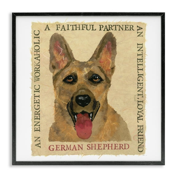 Stupell Industries Fun German Shepherd Phrases Animals Painting Black Framed Art Print Wall Art, 12 x 12