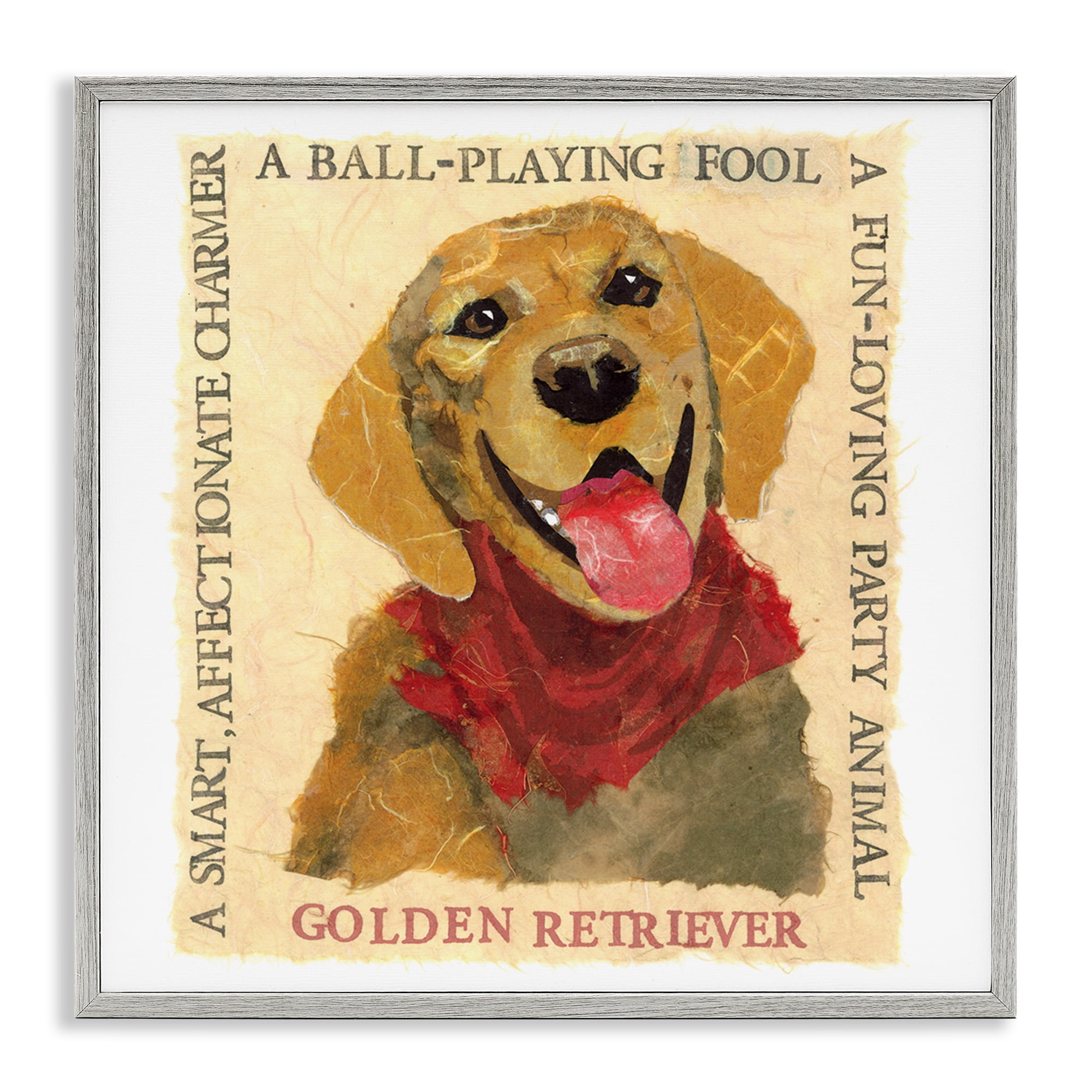 Stupell Industries Fun Golden Retriever Phrases Animals Painting Gray Framed Art Print Wall Art, 24 x 24