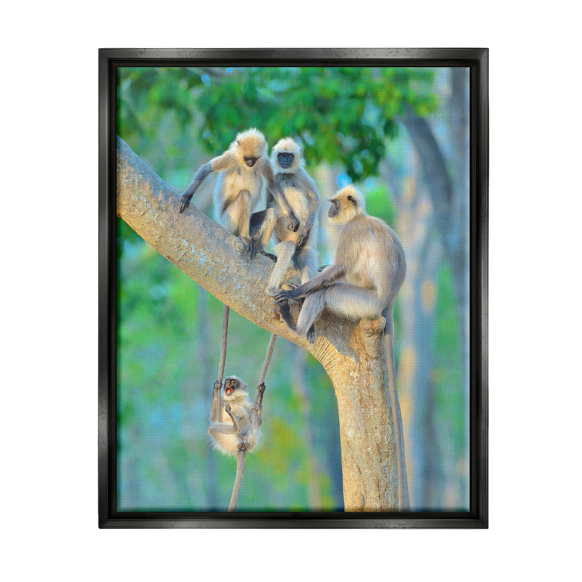 Stupell Industries Fun Playing Monkeys Animals & Insects Photography Black Floater Framed Canvas Art Print Wall Art, 25 x 31