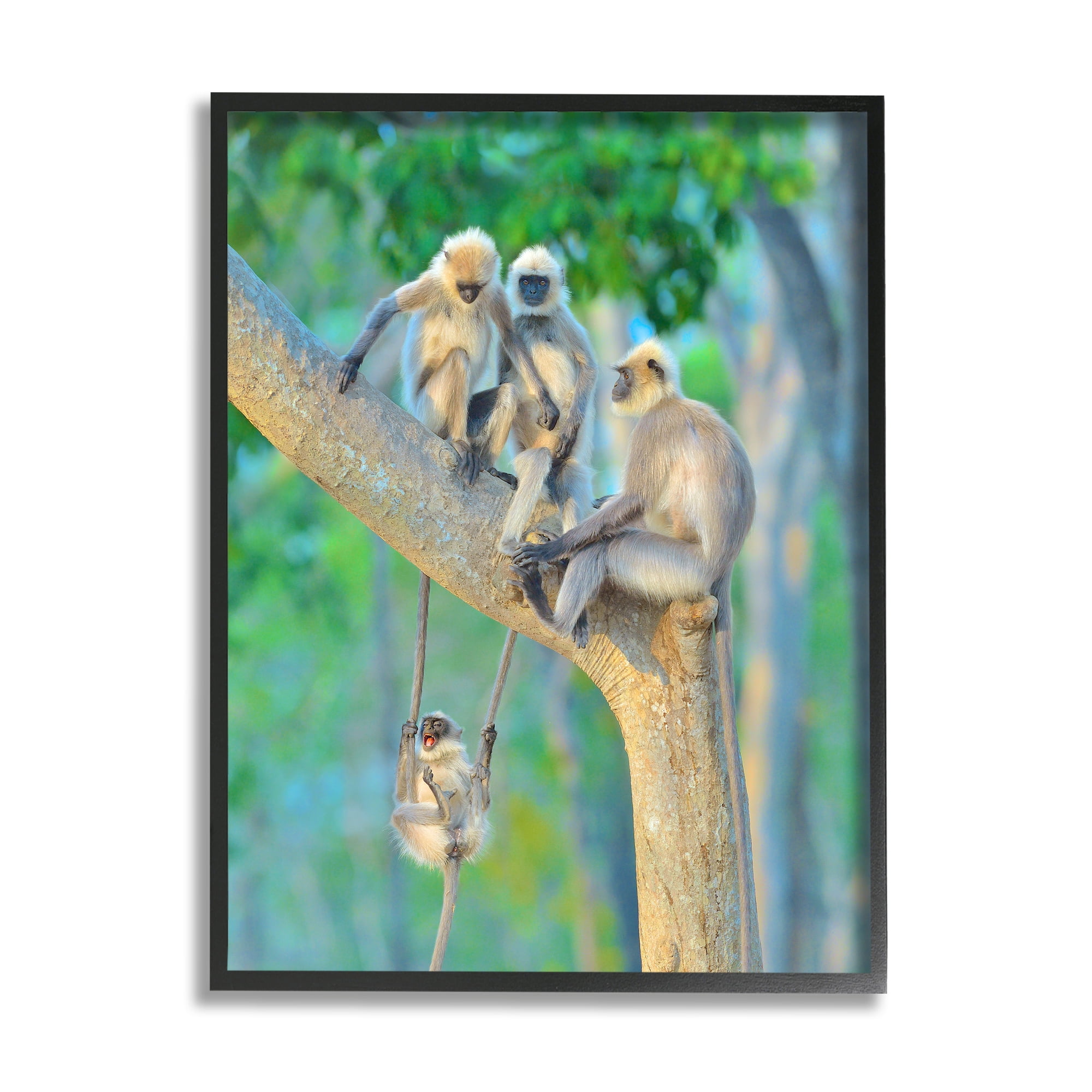 Stupell Industries Fun Playing Monkeys Animals & Insects Photography Black Framed Art Print Wall Art, 16 x 20