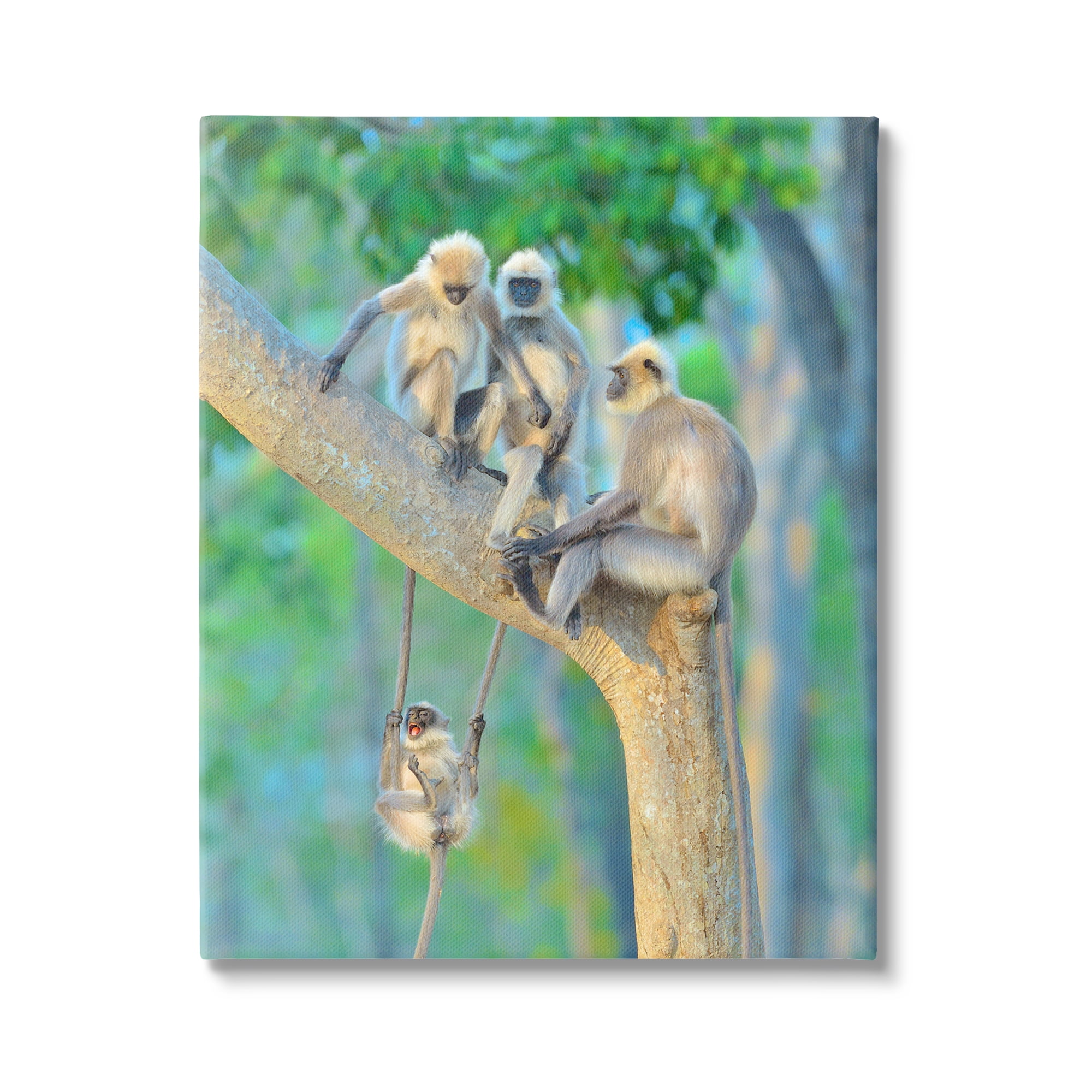 Stupell Industries Fun Playing Monkeys Animals & Insects Photography Gallery Wrapped Canvas Art Print Wall Art, 36 x 48