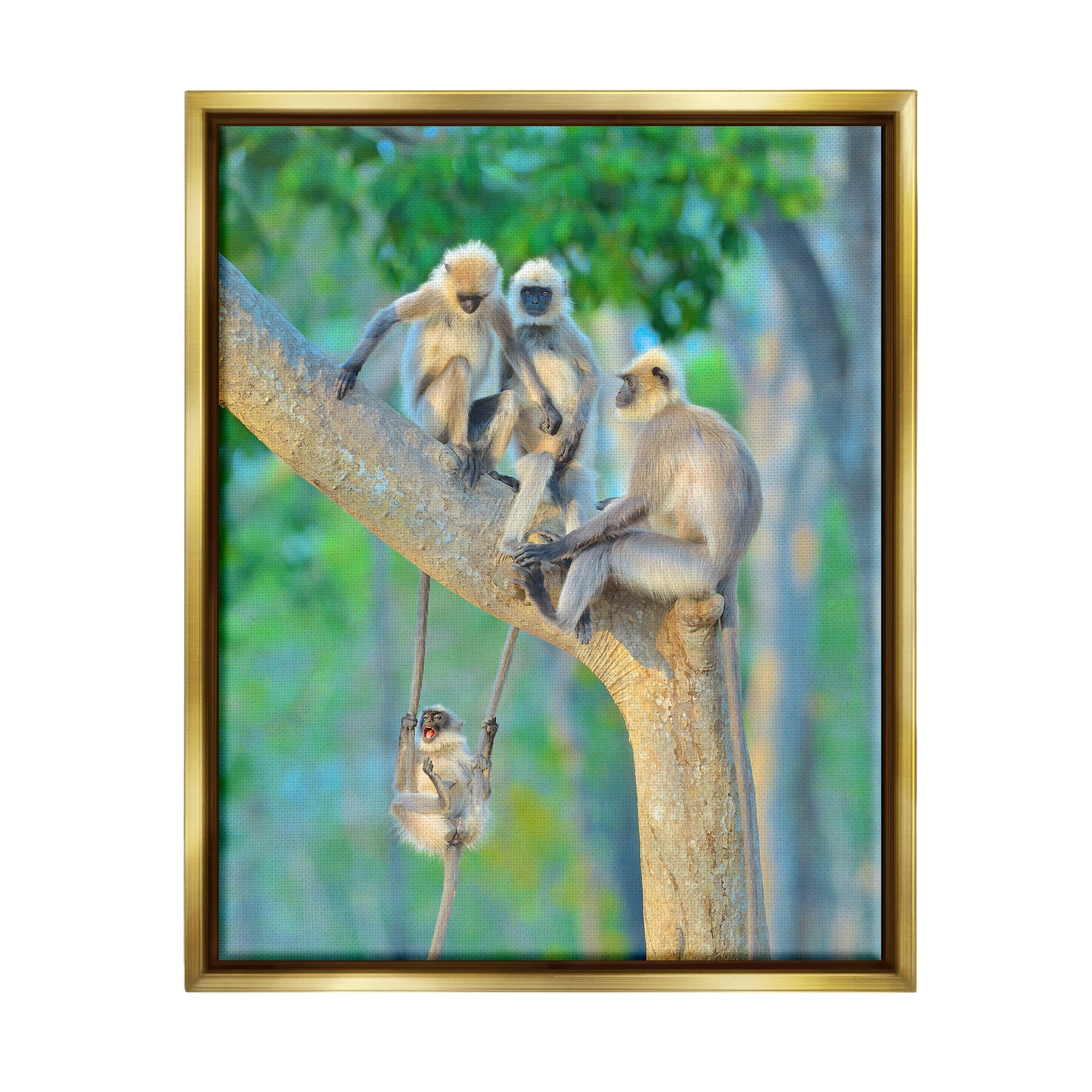 Stupell Industries Fun Playing Monkeys Animals & Insects Photography Gold Floater Framed Canvas Art Print Wall Art, 25 x 31