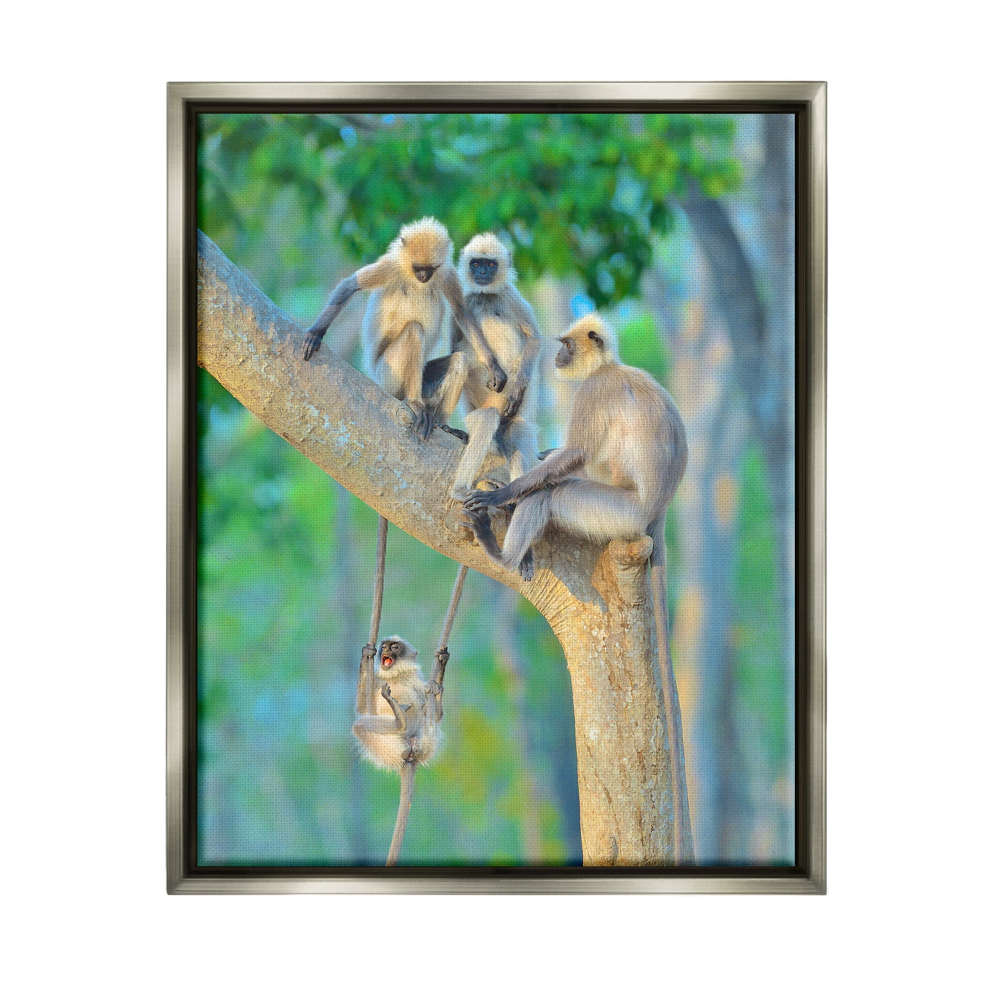 Stupell Industries Fun Playing Monkeys Animals & Insects Photography Gray Floater Framed Canvas Art Print Wall Art, 25 x 31
