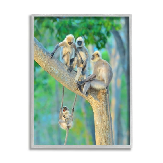 Stupell Industries Fun Playing Monkeys Animals & Insects Photography Gray Framed Art Print Wall Art, 24 x 30