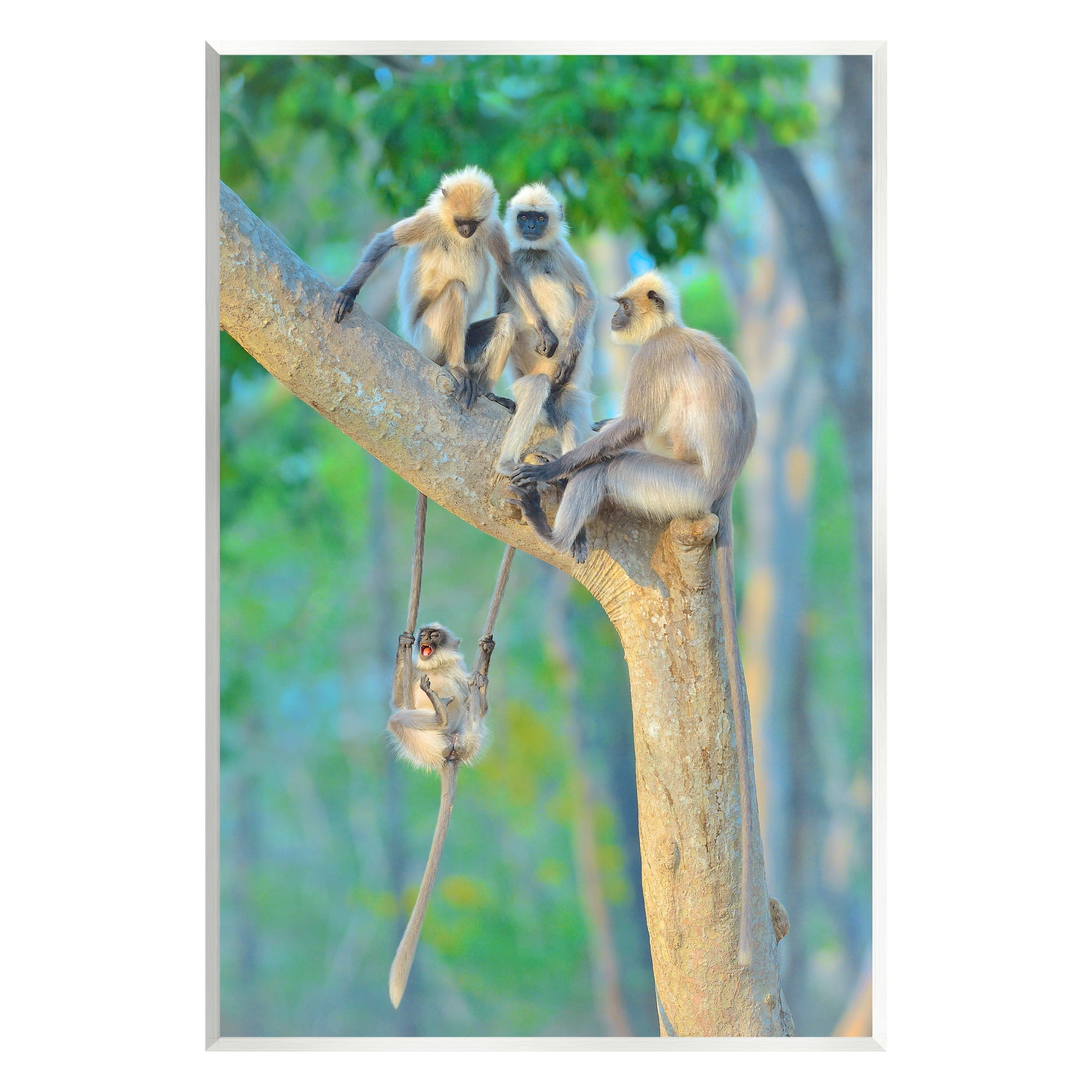 Stupell Industries Fun Playing Monkeys Animals & Insects Photography Unframed Art Print Wall Art, 10 x 15
