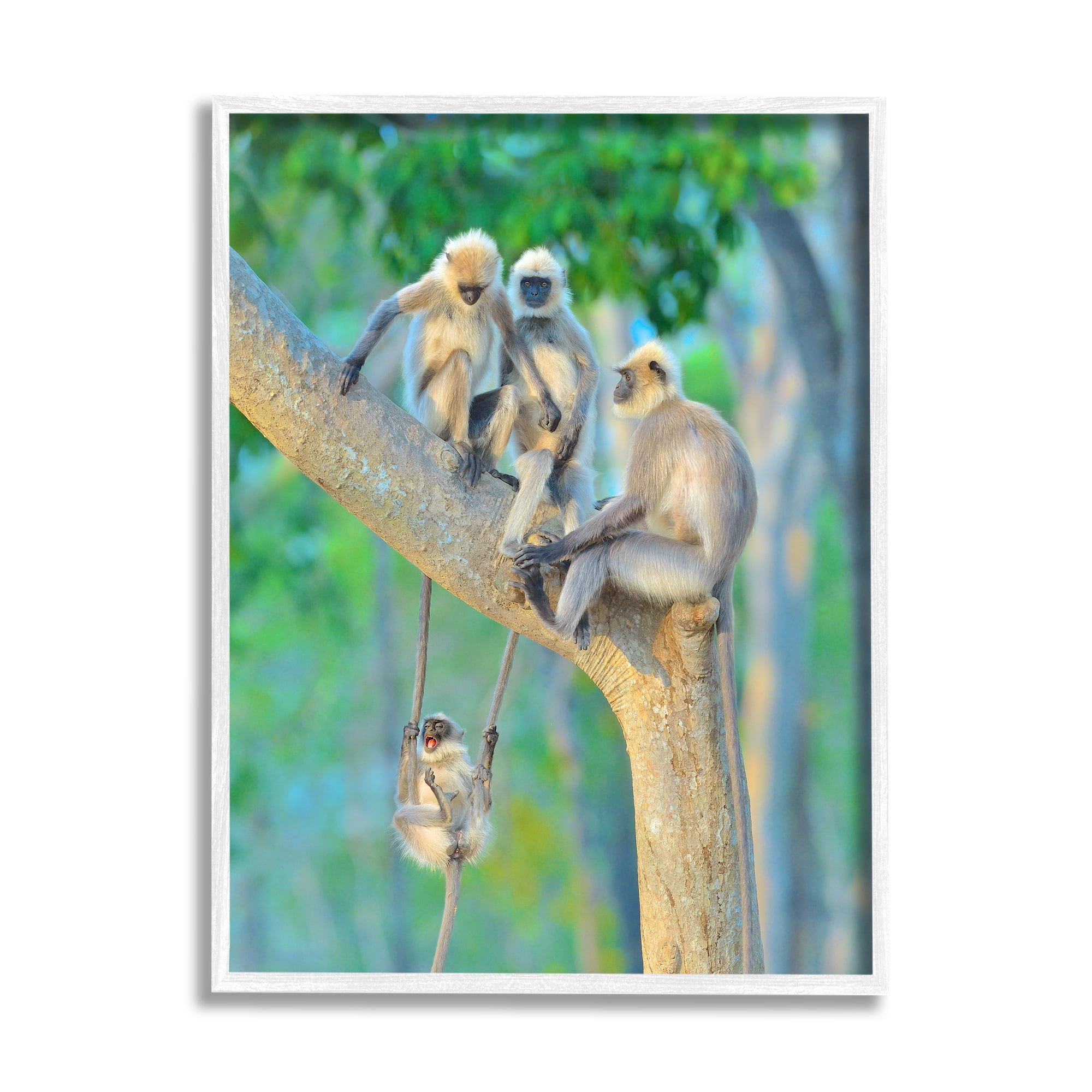 Stupell Industries Fun Playing Monkeys Animals & Insects Photography White Framed Art Print Wall Art, 24 x 30