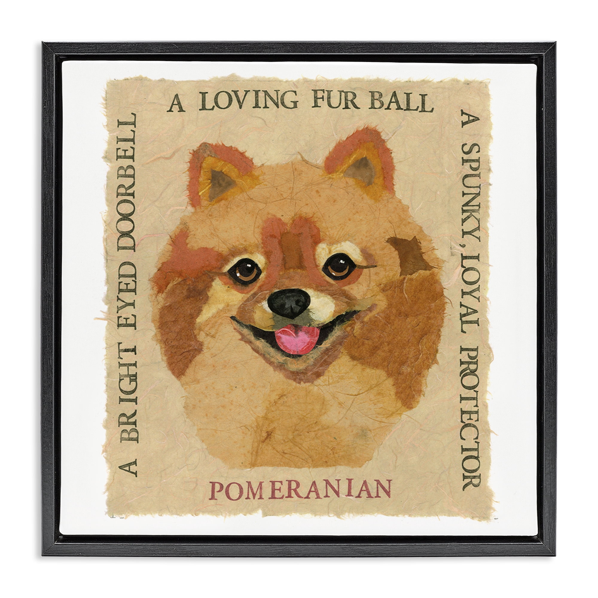 Stupell Industries Fun Pomeranian Pet Phrases Animals Painting Black Floater Framed Canvas Art Print Wall Art, 18 x 18