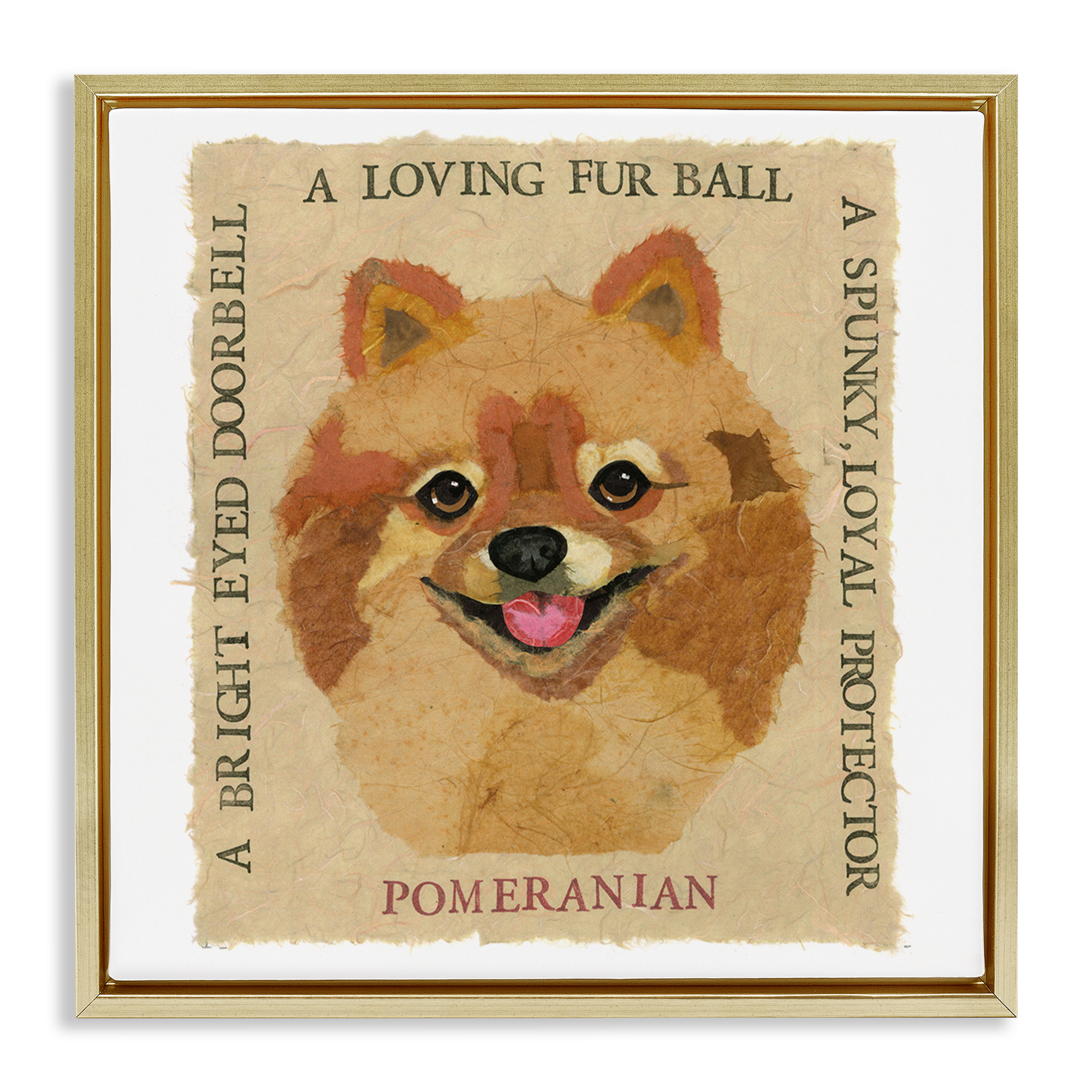 Stupell Industries Fun Pomeranian Pet Phrases Animals Painting Gold Floater Framed Canvas Art Print Wall Art, 18 x 18