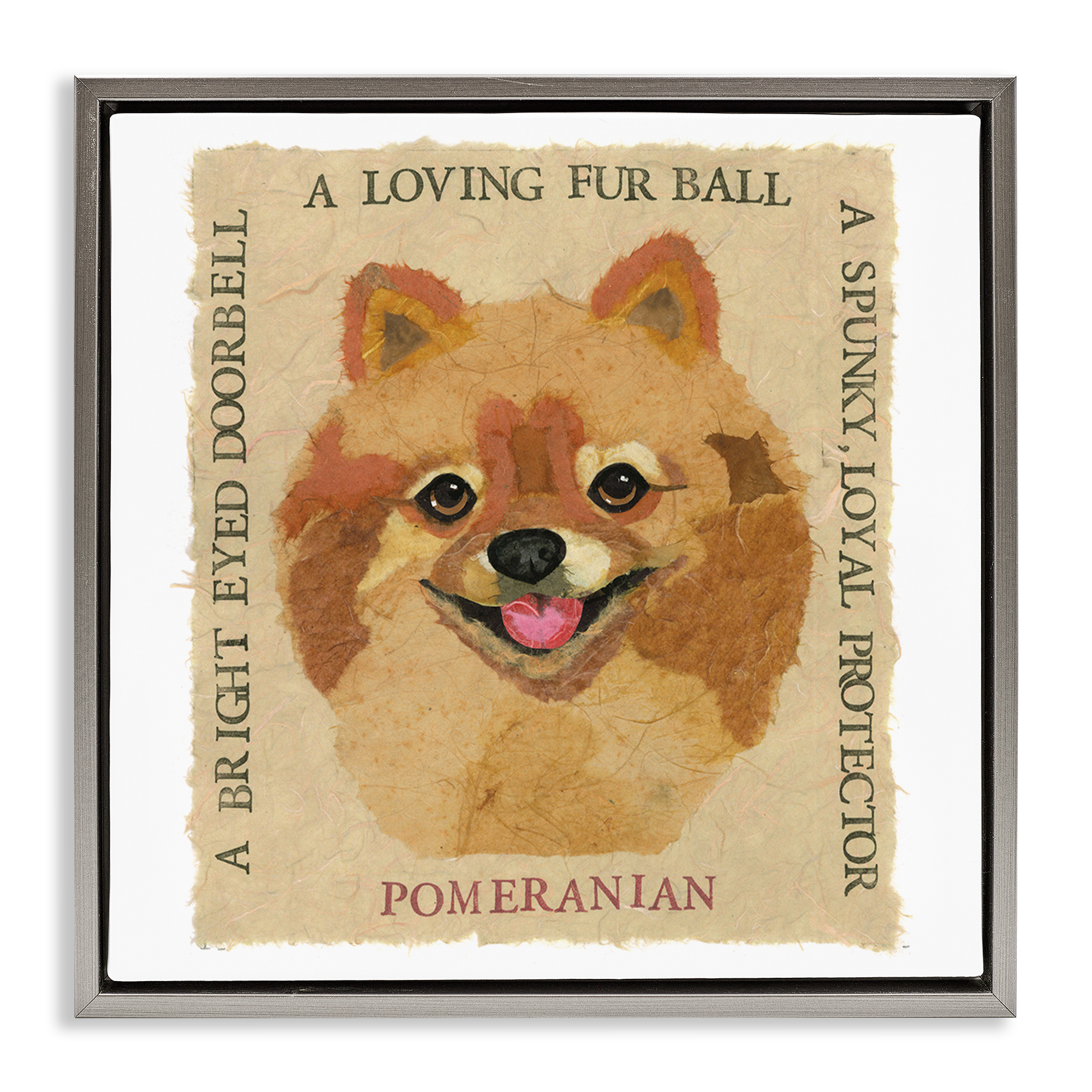 Stupell Industries Fun Pomeranian Pet Phrases Animals Painting Gray Floater Framed Canvas Art Print Wall Art, 25 x 25