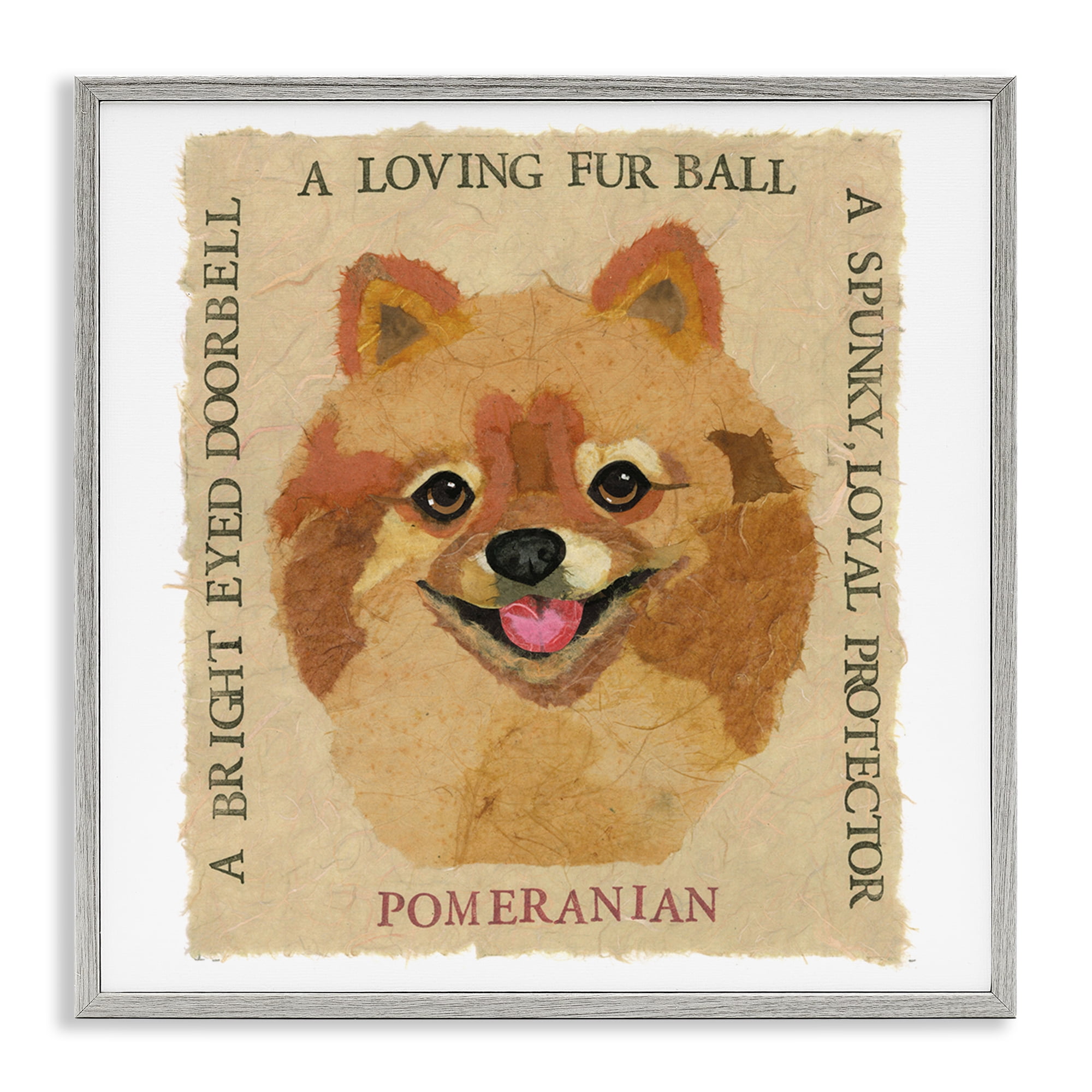 Stupell Industries Fun Pomeranian Pet Phrases Animals Painting Gray Framed Art Print Wall Art, 12 x 12