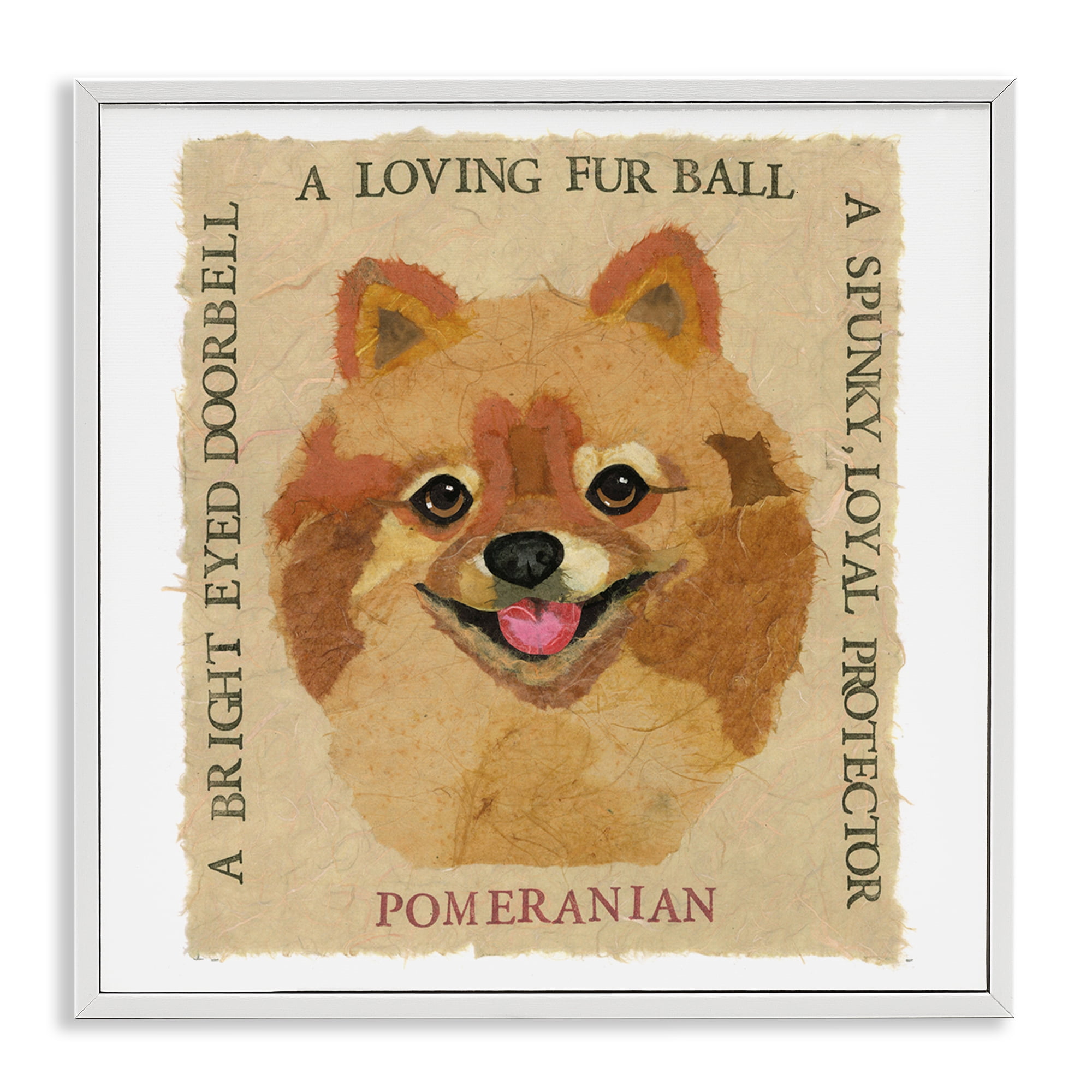 Stupell Industries Fun Pomeranian Pet Phrases Animals Painting White Framed Art Print Wall Art, 24 x 24