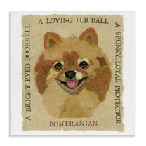 Stupell Industries Fun Pomeranian Pet Phrases Animals Painting Wrapped Canvas Art Print Wall Art, 17 x 17