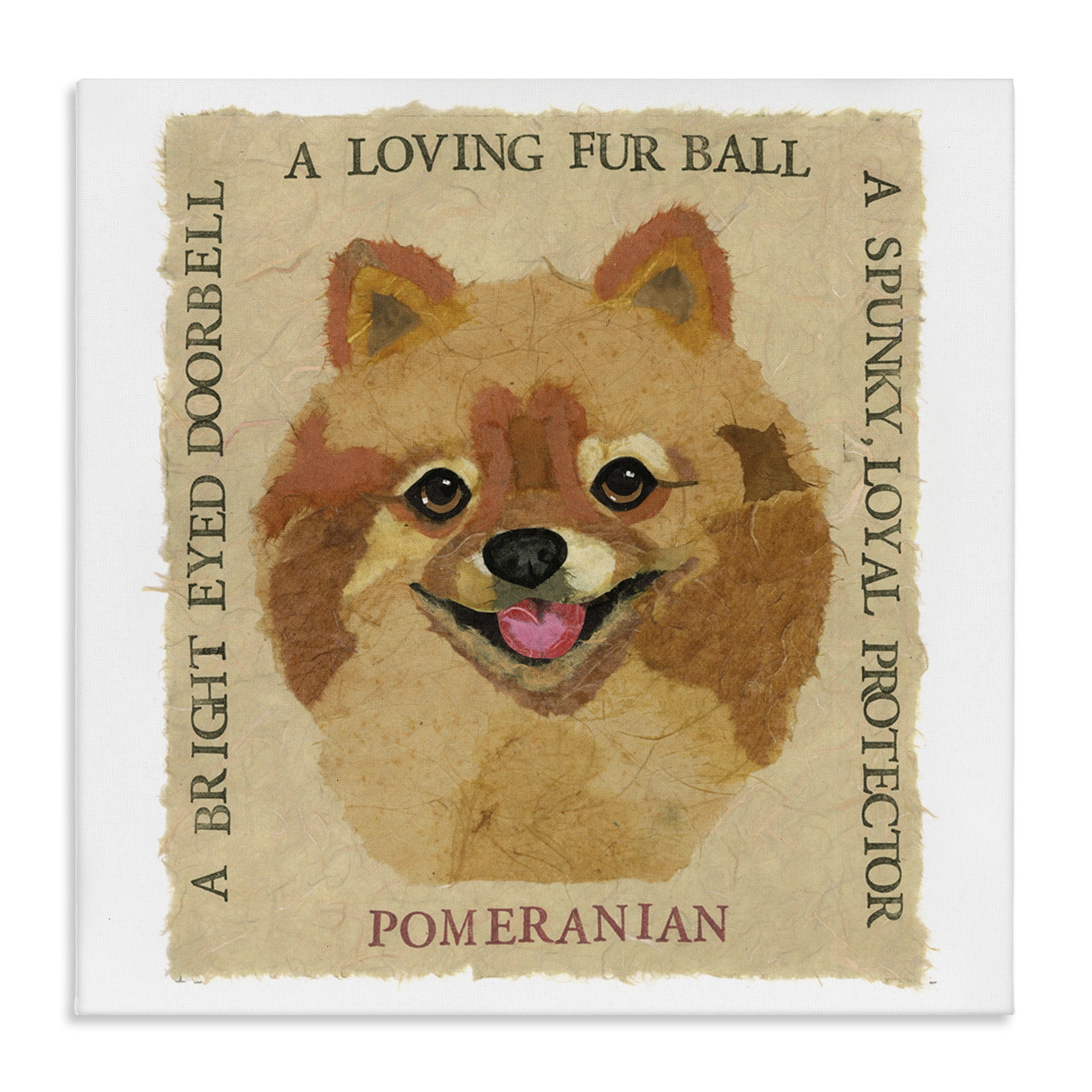 Stupell Industries Fun Pomeranian Pet Phrases Animals Painting Wrapped Canvas Art Print Wall Art, 30 x 30