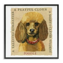 Stupell Industries Fun Poodle Pet Phrases Animals Painting Black Framed Art Print Wall Art, 12 x 12