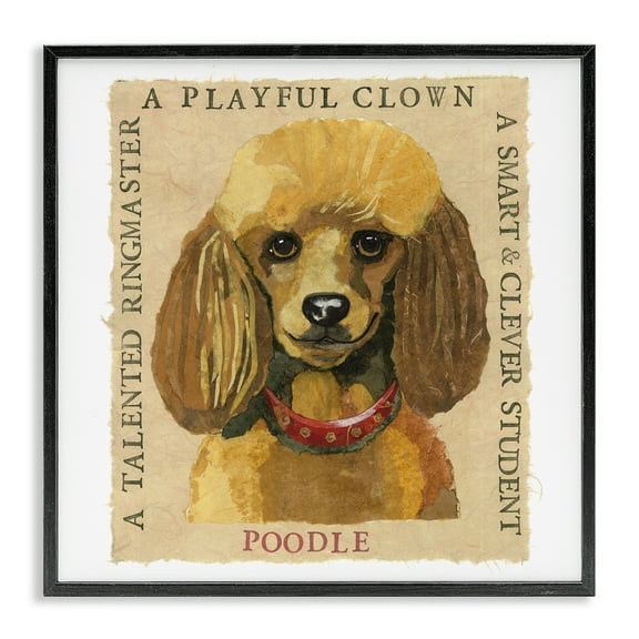 Stupell Industries Fun Poodle Pet Phrases Animals Painting Black Framed Art Print Wall Art, 12 x 12