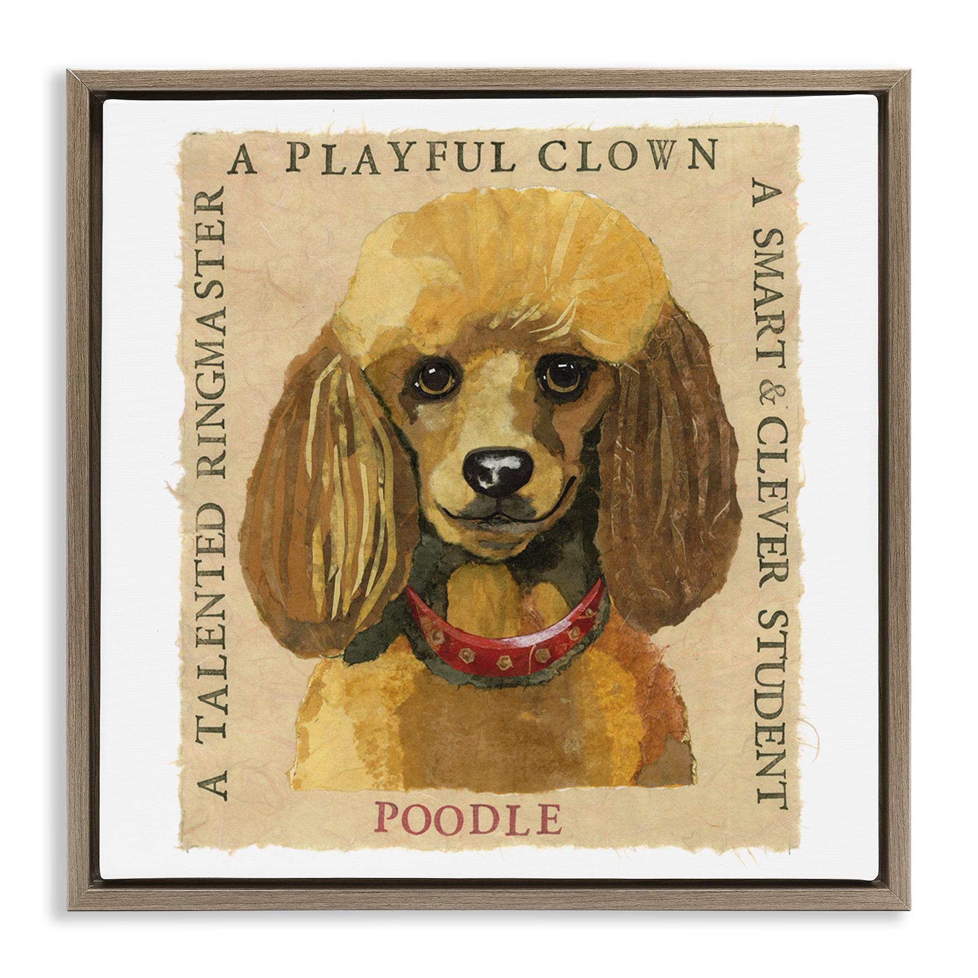 Stupell Industries Fun Poodle Pet Phrases Animals Painting Brown Floater Framed Canvas Art Print Wall Art, 25 x 25