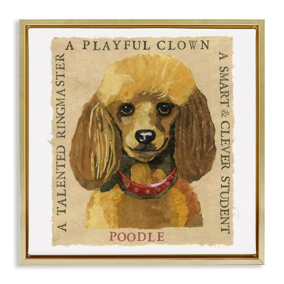 Stupell Industries Traditional Fun Poodle Pet Phrases Gold Floating Frame Canvas Art, 25 x 25, by Nancy Overton