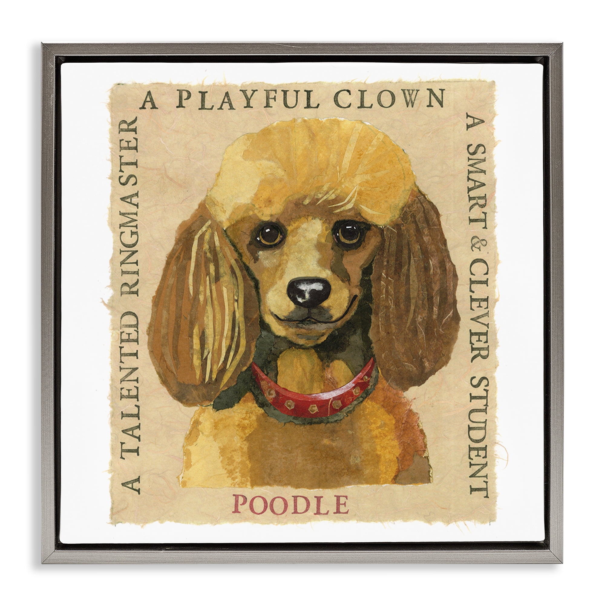 Stupell Industries Fun Poodle Pet Phrases Animals Painting Gray Floater Framed Canvas Art Print Wall Art, 25 x 25