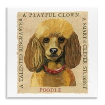 Stupell Industries Fun Poodle Pet Phrases Animals Painting Unframed Art Print Wall Art, 12 x 12