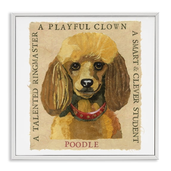Stupell Industries Traditional Fun Poodle Pet Phrases White Framed Giclee Art, 17 x 17, by Nancy Overton