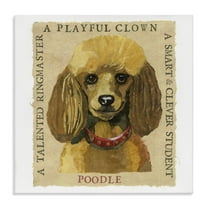 Stupell Industries Fun Poodle Pet Phrases Animals Painting Wrapped Canvas Art Print Wall Art, 17 x 17
