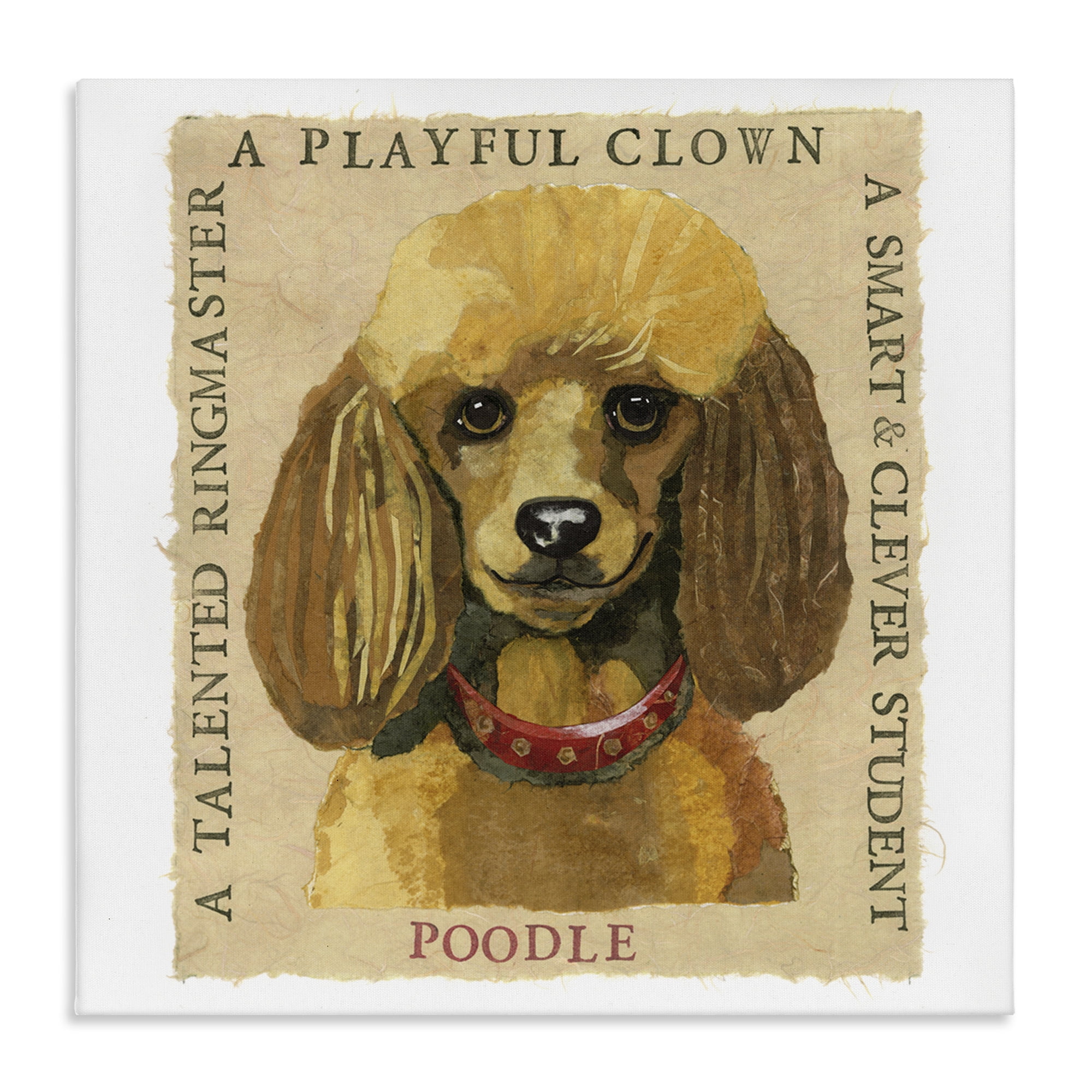 Stupell Industries Fun Poodle Pet Phrases Animals Painting Wrapped Canvas Art Print Wall Art, 36 x 36