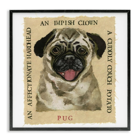 Stupell Industries Fun Pug Pet Phrases Animals Painting Black Framed Art Print Wall Art, 12 x 12