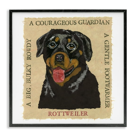 Stupell Industries Fun Rottweiler Pet Phrases Animals Painting Black Framed Art Print Wall Art, 12 x 12