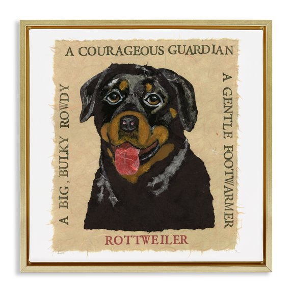 Stupell Industries Eclectic Fun Rottweiler Pet Phrases Gold Floating Frame Canvas Art, 18 x 18, by Nancy Overton