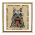 thumbnail image 1 of Stupell Industries Traditional Fun Schnauzer Pet Phrases Gold Floating Frame Canvas Art, 18 x 18, by Nancy Overton, 1 of 8