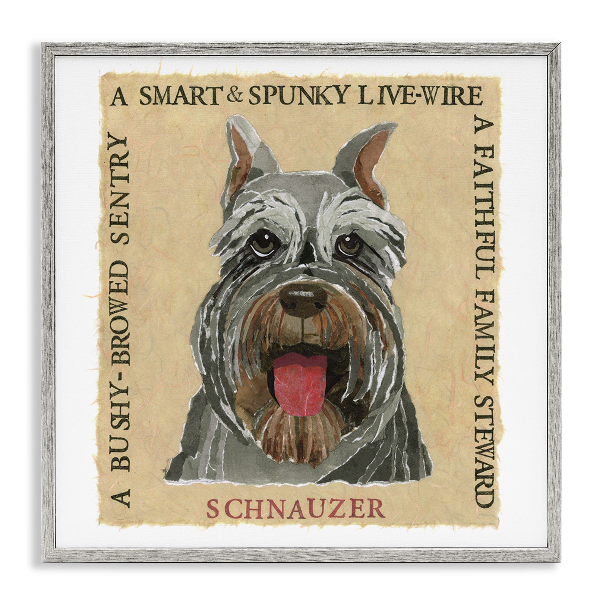 Stupell Industries Fun Schnauzer Pet Phrases Animals Painting Gray Framed Art Print Wall Art, 24 x 24