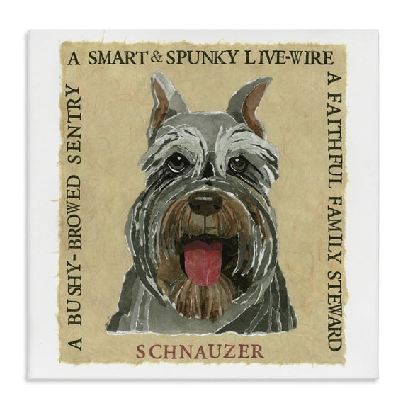 Stupell Industries Fun Schnauzer Pet Phrases Animals Painting Wrapped Canvas Art Print Wall Art, 17 x 17