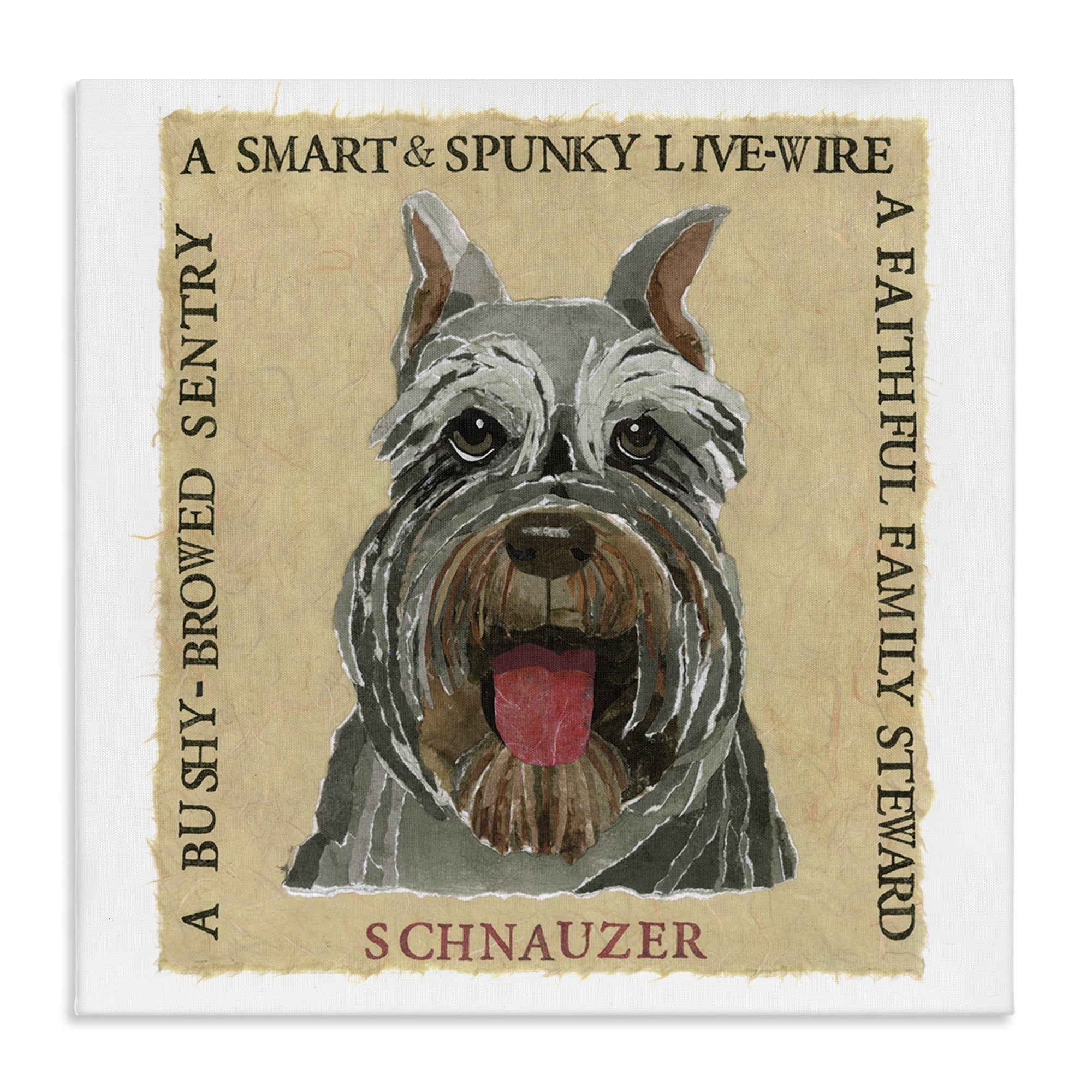 Stupell Industries Fun Schnauzer Pet Phrases Animals Painting Wrapped Canvas Art Print Wall Art, 36 x 36