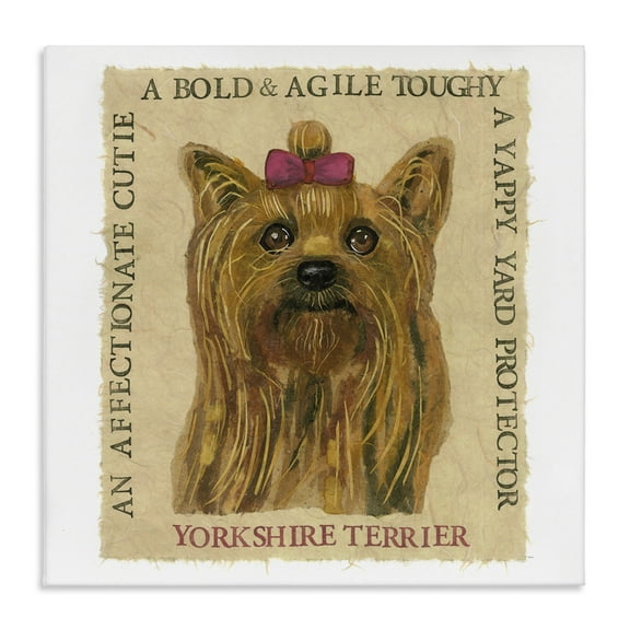 Stupell Industries Fun Yorkshire Terrier Phrases Animals Painting Wrapped Canvas Art Print Wall Art, 17 x 17