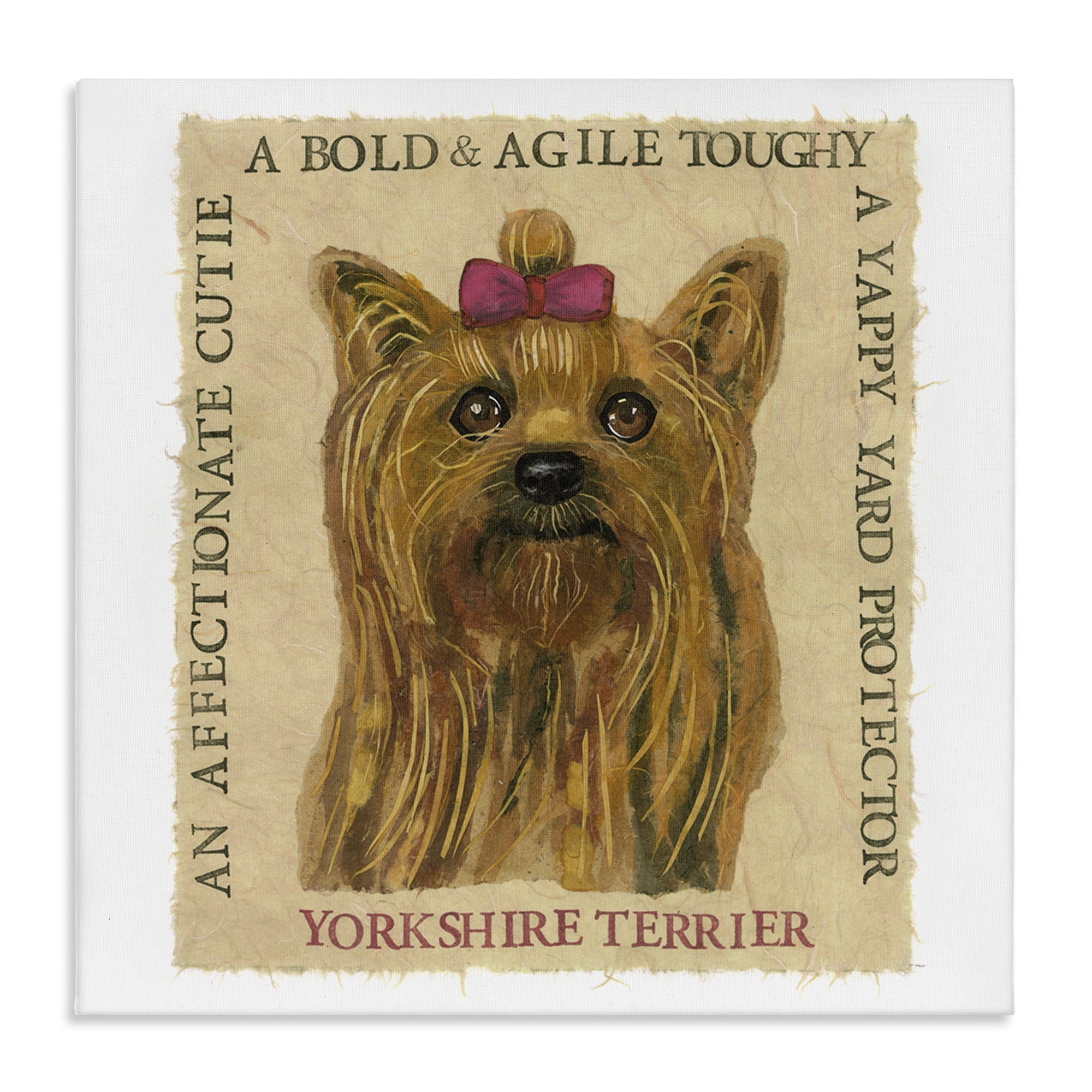 Stupell Industries Fun Yorkshire Terrier Phrases Animals Painting Wrapped Canvas Art Print Wall Art, 30 x 30
