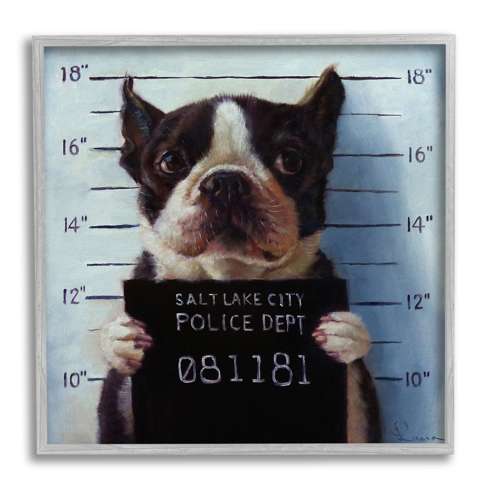 Stupell Industries Funny Boston Terrier Dog Jail Convicted Police Framed Wall Art, 24 x 24, Design by Lucia Heffernan