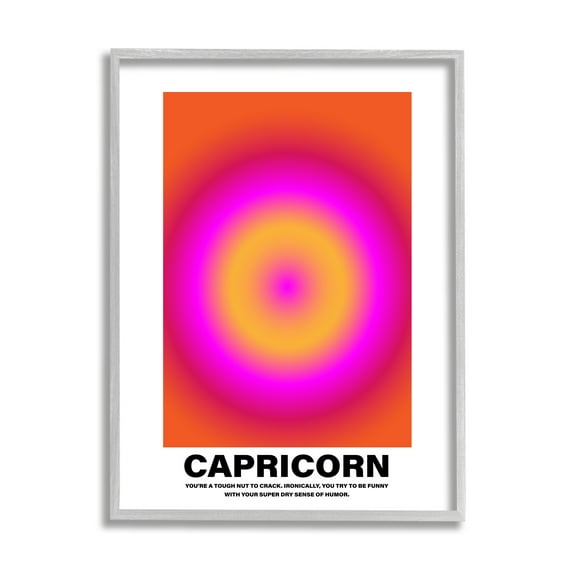 Stupell Industries Funny Capricorn Astrology Abstract Painting Gray Framed Art Print Wall Art, 24 x 30