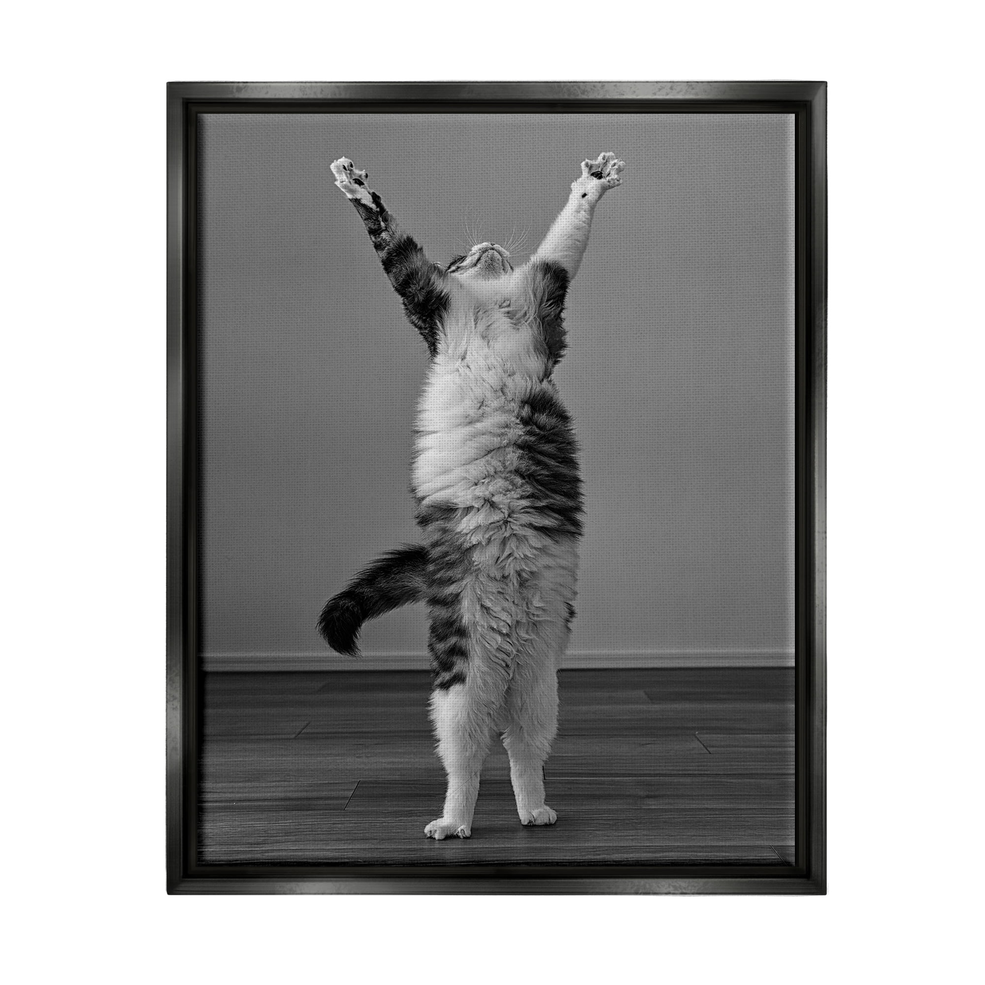 Stupell Industries Funny Cat Victory Pose Animals & Insects Photography Black Floater Framed Canvas Art Print Wall Art, 17 x 21