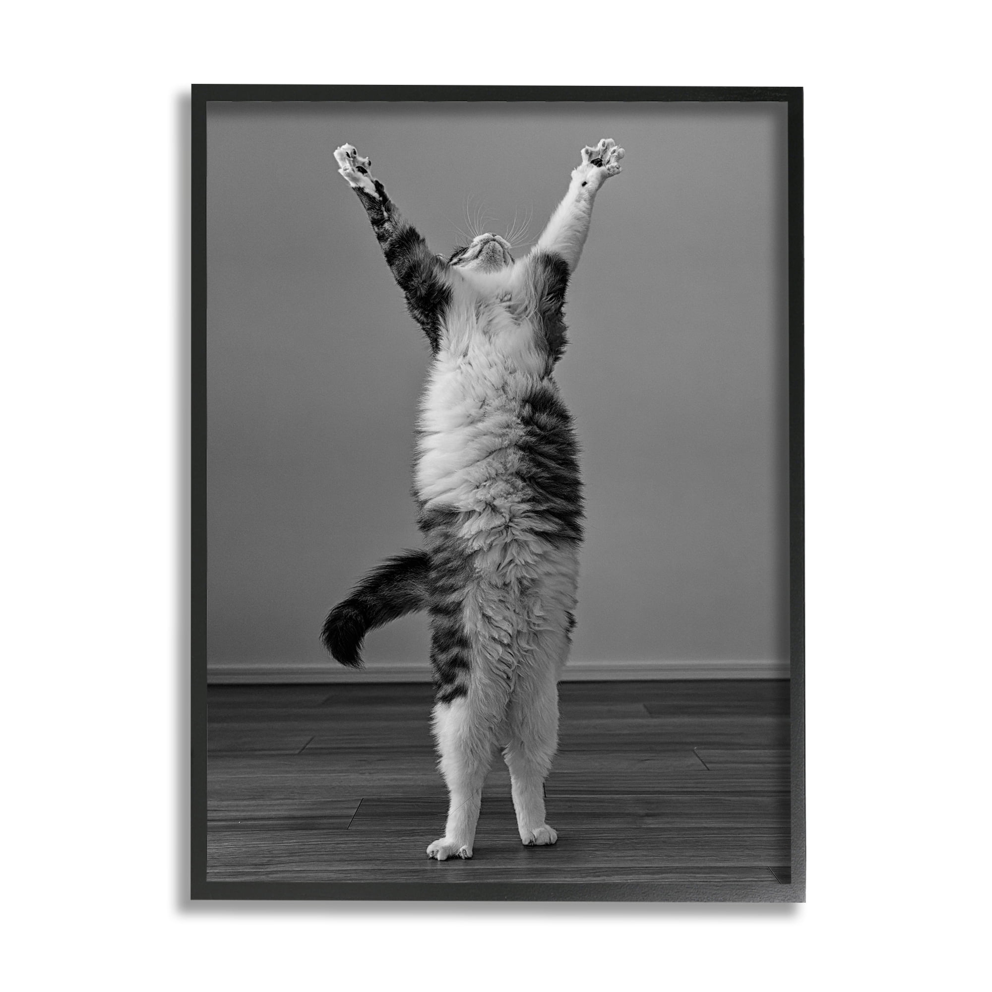 Stupell Industries Funny Cat Victory Pose Animals & Insects Photography Black Framed Art Print Wall Art, 16 x 20