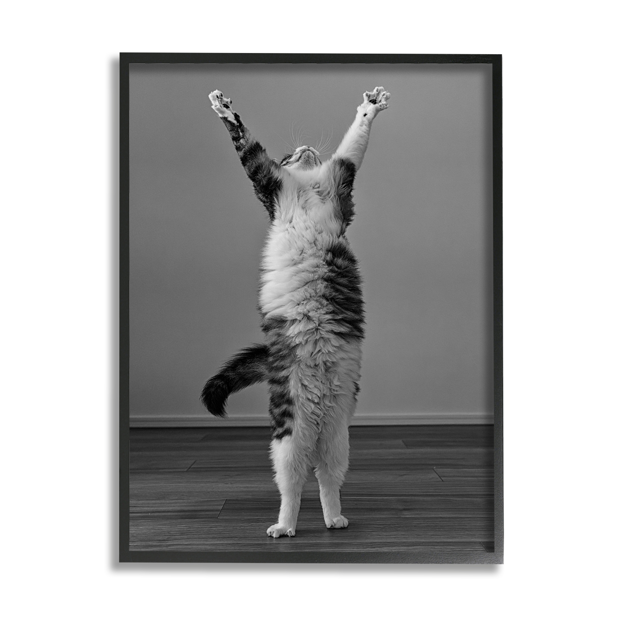 Stupell Industries Funny Cat Victory Pose Animals & Insects Photography Black Framed Art Print Wall Art, 24 x 30