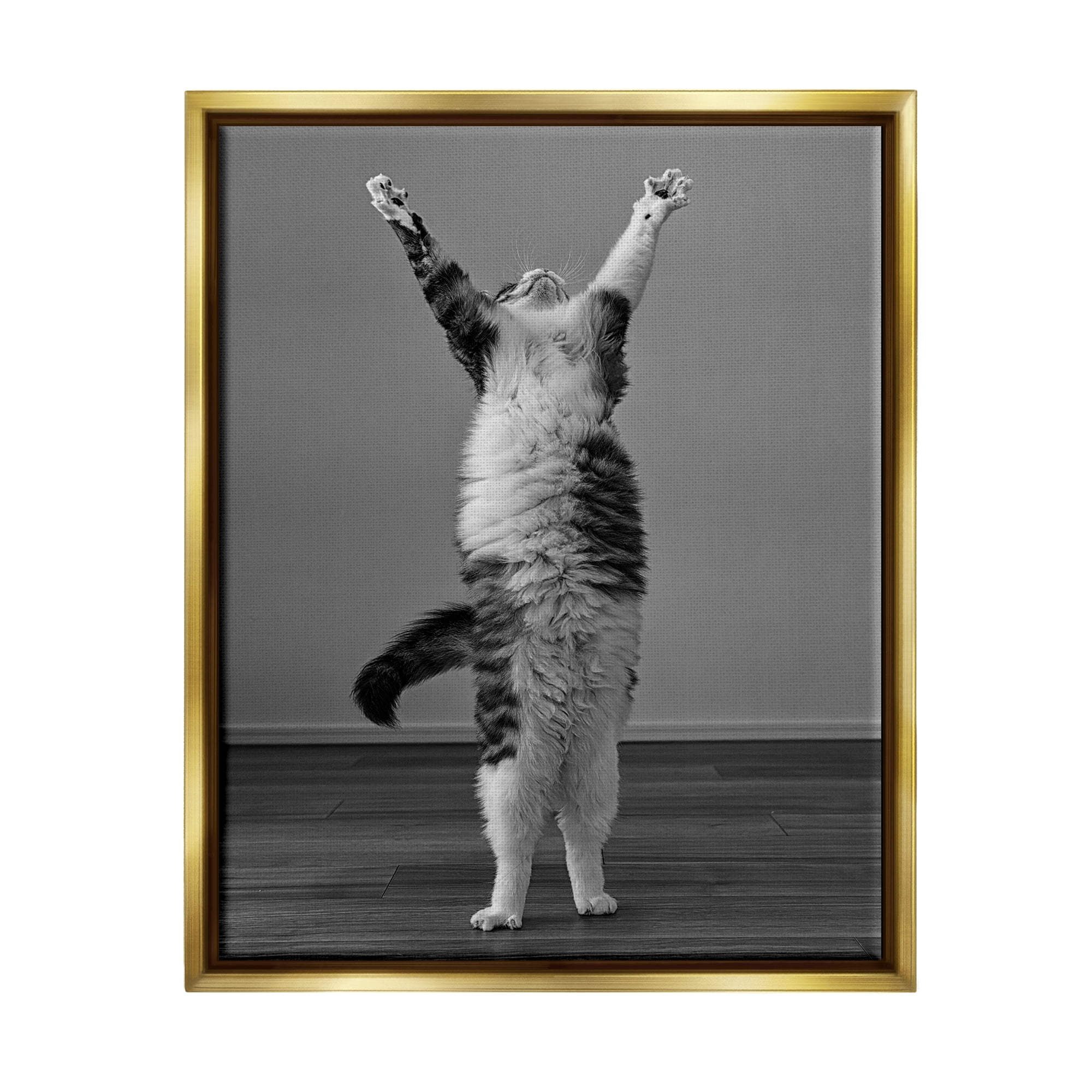 Stupell-Industries-Funny-Cat-