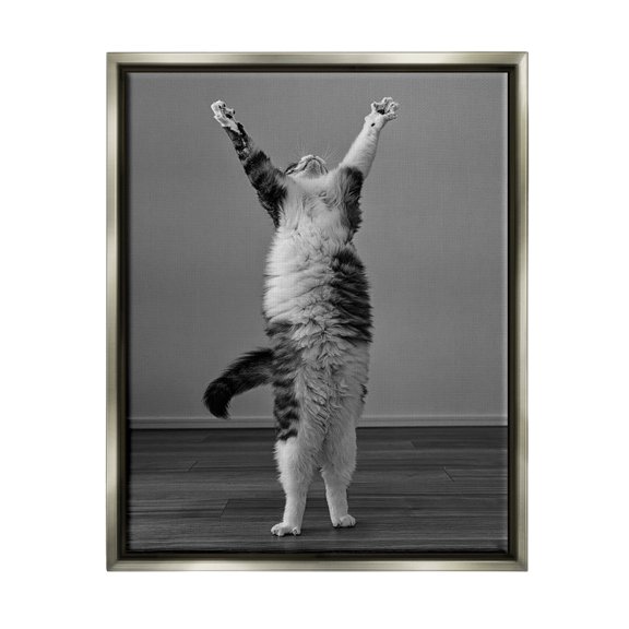 Stupell Industries Funny Cat Victory Pose Animals & Insects Photography Gray Floater Framed Canvas Art Print Wall Art, 17 x 21