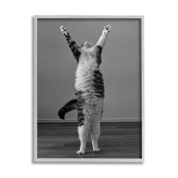 Stupell Industries Funny Cat Victory Pose Animals & Insects Photography Gray Framed Art Print Wall Art, 16 x 20