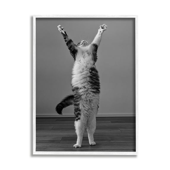 Stupell Industries Funny Cat Victory Pose Animals & Insects Photography White Framed Art Print Wall Art, 11 x 14