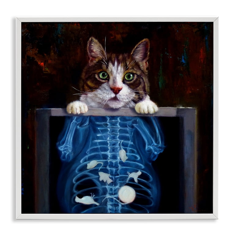 Stupell Industries Funny Cat X-Ray Mice Animals Painting White